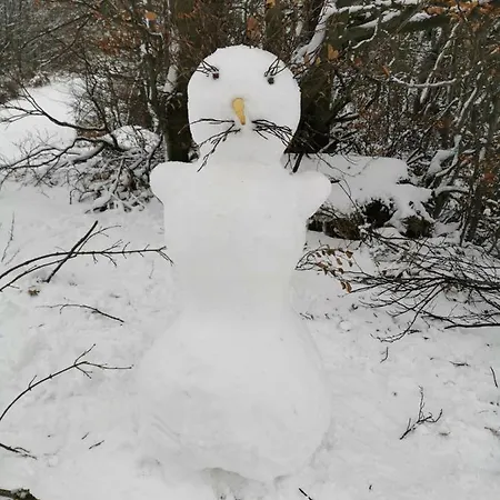 Rajecka Dolina Apartmán Rajecké Teplice