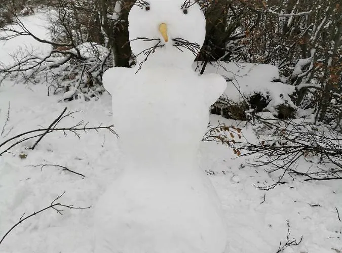 Rajecka Dolina 아파트 라젝크테플리스